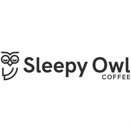 Sleepy Owl Logo