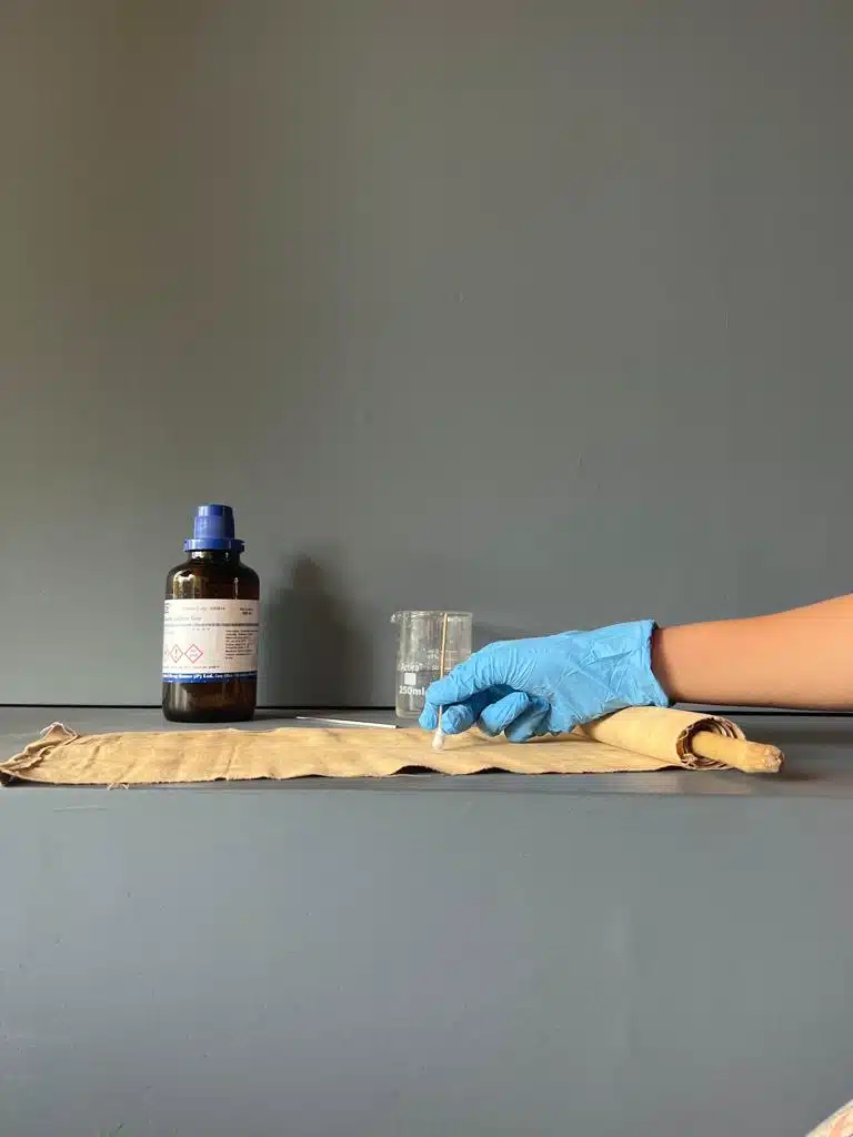 Conservation Workshop