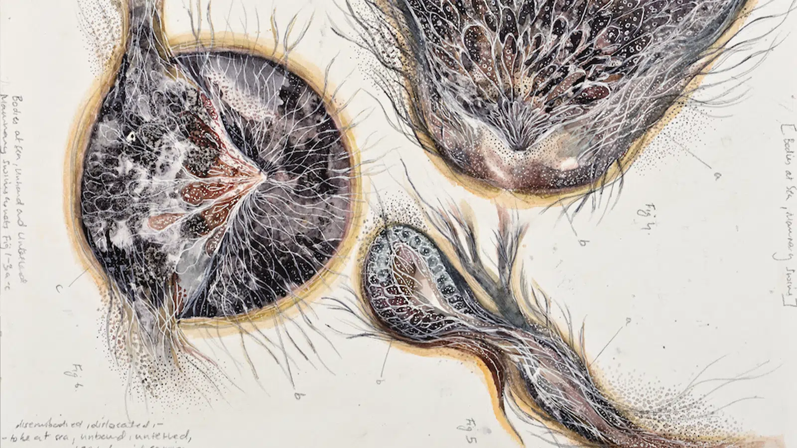 Devika Sundar, Unbound and Untethered III, 2022, Courtesy of the artist & Blueprint12