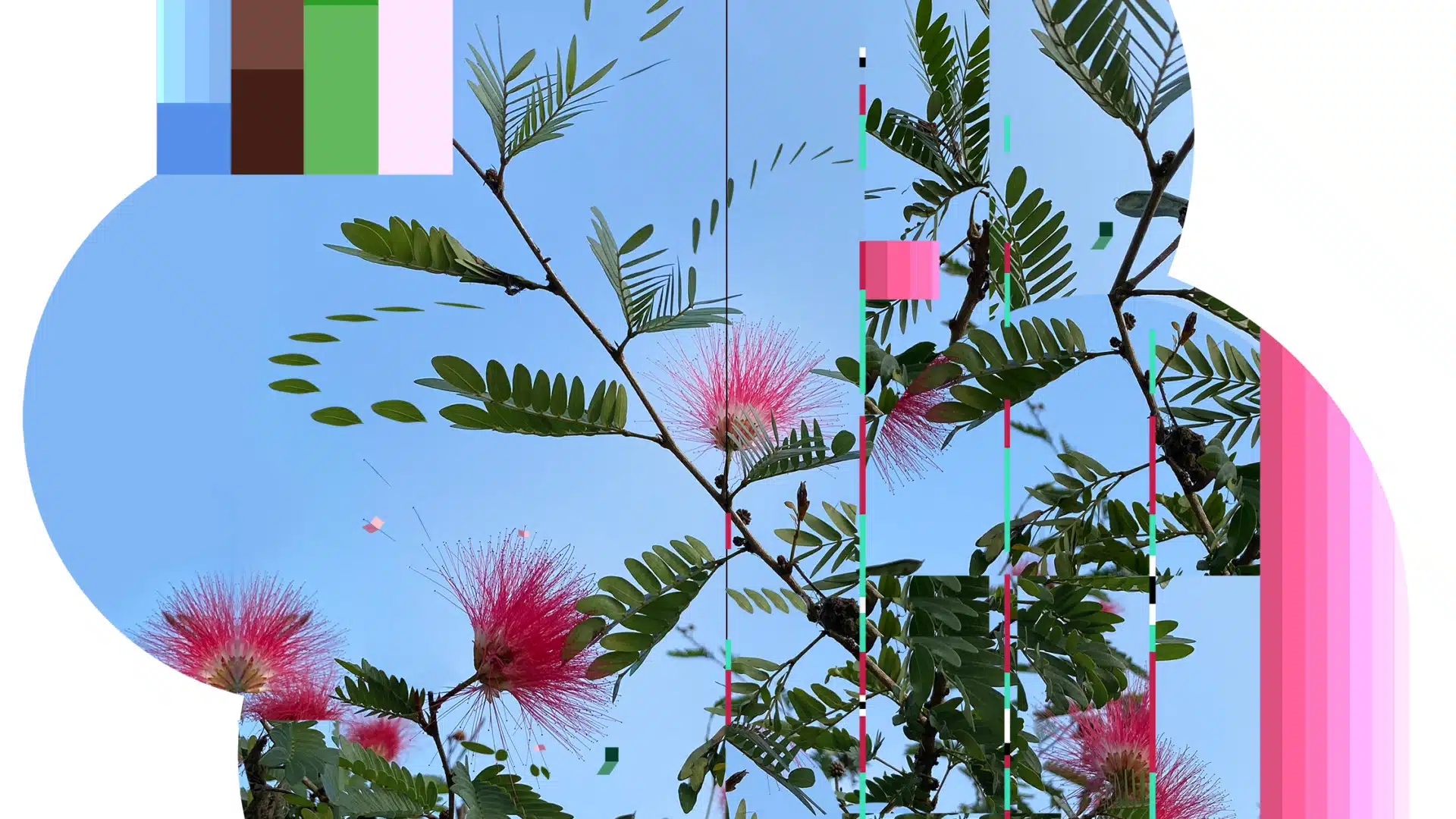 Thukral and Tagra. Arboretum, 2023. Courtesy of Nature Morte.